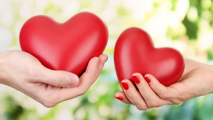 Sử dụng số 831 trong các dịp lễ đặc biệt